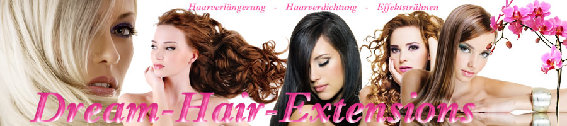 Mandy Schubert, Dream-Hair-Extensions in Wildenfels - Logo