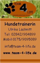 Team 4 Life in Kamp Lintfort - Logo