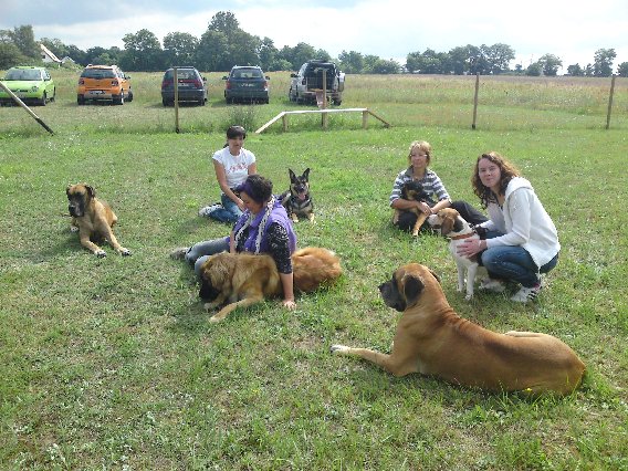 Hundeausbildung Irina Pfeifer in Rehfelde - Logo