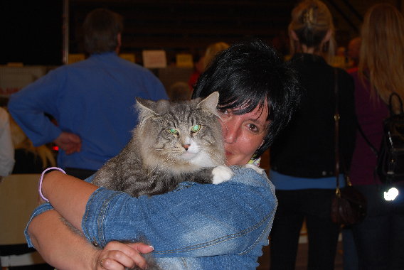 Heike Fischer, help4mycat - Katzenverhaltensberatung in Straubenhardt - Logo