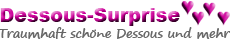 Dessous-Surprise Ltd. in Hamburg - Logo