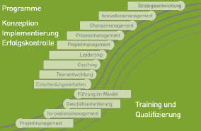 Convex Management Consultants - Gregor Schiffer in Aachen - Logo