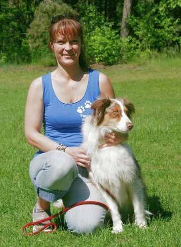 Gin's Hundewelt in Kleinsendelbach - Logo