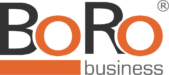 BoRo business Unternehmensberatung in Meilenhofen Gemeinde Berg bei Neumarkt in der Oberpfalz - Logo