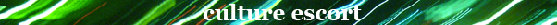 Culture Escort in Berlin - Logo