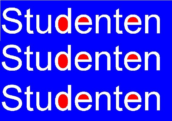 Studentische Umzugshelfer Berlin in Berlin - Logo