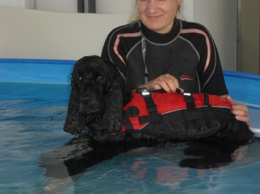 Hundephysiozentrum Eislingen in Eschenbäche Gemeinde Eislingen - Logo