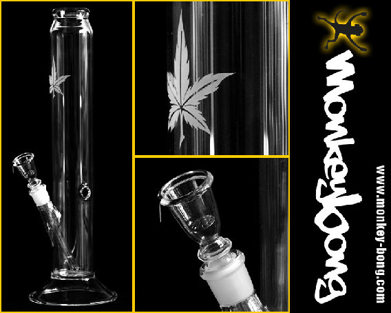 monkey-bong.com in Büdingen in Hessen - Logo