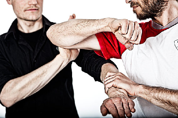 EWTO-Zenrum Auerbach in Auerbach im Vogtland - Logo