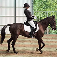 Reitsportgeschäfte