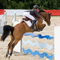 Reitsportgeschäfte