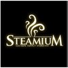 Steamium Vape Supply Store in Marktheidenfeld - Logo