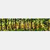 BELLOMANIA DOG RESORT in Meerbusch - Logo