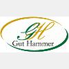 Ferienpark Gut Hammer e.K. Helmer Fischer in Hammer Stadt Liebenwalde - Logo