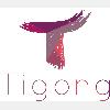 Tigong Commerce GmbH in Köln - Logo