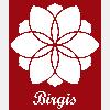 Birgis in Berlin - Logo