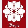 Birgis in Berlin - Logo