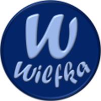 Wilfka - Intelligente Internet Lösungen in Kaufbeuren - Logo