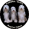 KAREWA Zotti's Bearded Collies (VDH) in Sugenheim - Logo