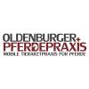 Oldenburger Pferdepraxis Dr Bruno Leite in Leuchtenburg Gemeinde Rastede - Logo