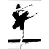 Ballettschule Fouette´ Aelita Rose in Stuttgart - Logo