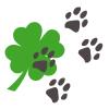 Praxis Vierpfotenglück Tierheilpraxis und energetische Osteopathie für Hunde in Neu Isenburg - Logo