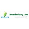 Brandenburg Live in Brandenburg an der Havel - Logo