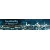 Forex Trading lernen in Frankfurt an der Oder - Logo