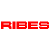 Bild zu Ribes Kunststofftechnik GmbH in Hildesheim