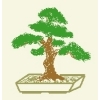 Bonsaigestaltung Uwe Krötenheerdt in Linda bei Weida - Logo