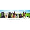Mobile Hundeschule PeVi in Neuss - Logo