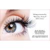 Wimpern Studio 