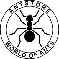 ANTSTORE - World of Ants - Fachhandel für Ameisen und Ameisenfarmen in Berlin - Logo
