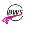 BWS UG (haftungsbeschränkt) Briefe Werbung Service in Münster - Logo