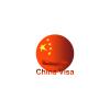 China Visa Service Köln in Köln - Logo