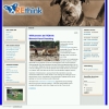 REthink Mensch-Hund-Coaching in Horgau - Logo