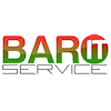 BARO IT Service GmbH & Co. KG in Weidenbach Gemeinde Kesseling - Logo
