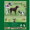 Hundeschule 