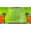 TropiCocktail Barkeeping & Services in Essen - Logo