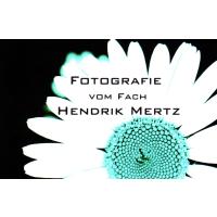Mertz Hendrik Fotograf in Kressbronn am Bodensee - Logo