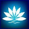 Tantra & Wellness ° Massage Service Berlin in Berlin - Logo