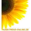 HOMETREND ONLINE in Altenberge in Westfalen - Logo