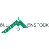 Blumenstock Immobilien in Kleinschwarzenlohe Markt Wendelstein - Logo