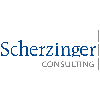 Scherzinger Consulting in Unterensingen - Logo
