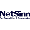 NetSinn Net Consulting & Engineering in Köln - Logo