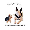 Hundetraining-Wuppertal in Wuppertal - Logo