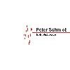 Peter Schmidt Betriebsberater in Umkirch - Logo