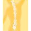 Praxis f. Physiotherapie Anna Penner in Cochem - Logo