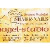 Silver-Nails Ausbildungsstätte und Nagelstudio in Burg Stargard - Logo