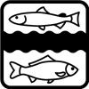 Erzgebirgs-Fisch GbR in Olbernhau - Logo